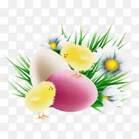 黄色 草 植物-空若网 黄色 草 植物-空若网