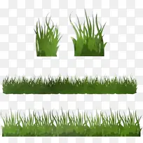 草 草坪 植物-空若网 草 草坪 植物-空若网