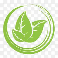 Ҷ�� ��־ ֲ��-������