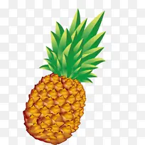 菠萝 水果 植物-空若网 菠萝 水果 植物-空若网