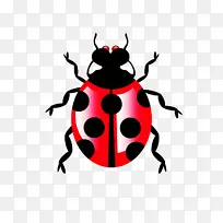 À¥³æ ¼×³æ ư³æ-¿ÕÈôÍø À¥³æ ¼×³æ ư³æ-¿ÕÈôÍø