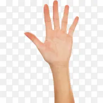 手 手指 皮肤-空若网 手 手指 皮肤-空若网