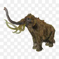 动物形象 大象 角-空若网 动物形象 大象 角-空若网