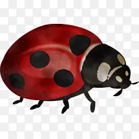 ư�� ���� �׳�-������