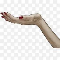 手 手指 手臂-空若网 手 手指 手臂-空若网
