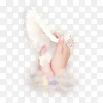 ��ɫ ��ɫ ���-������