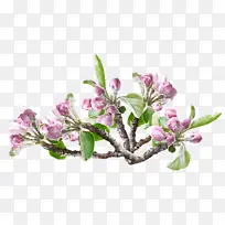 春天-空若网 春天-空若网