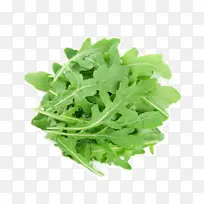 采购产品叶 植物 叶蔬菜-空若网 采购产品叶 植物 叶蔬菜-空若网