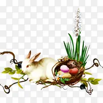 ²Ý Ö²Îï ¸´»î½Ú-¿ÕÈôÍø ²Ý Ö²Îï ¸´»î½Ú-¿ÕÈôÍø