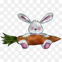 兔子和野兔 兔子 鼻子-空若网 兔子和野兔 兔子 鼻子-空若网