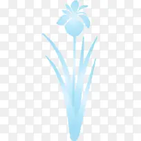 鸢尾花 春花 水绿色-空若网 鸢尾花 春花 水绿色-空若网