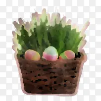 ���� �� ��ɫ-������