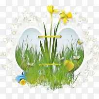 草 黄 花-空若网 草 黄 花-空若网