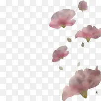 春天-空若网 春天-空若网