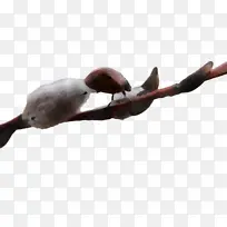 ����-������