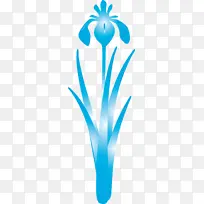 鸢尾花 春花 蓝色-空若网 鸢尾花 春花 蓝色-空若网