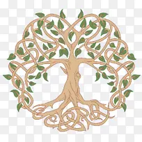 叶子 树 植物-空若网 叶子 树 植物-空若网