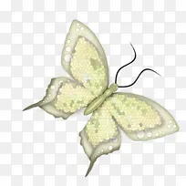 蝴蝶 昆虫 飞蛾和蝴蝶-空若网 蝴蝶 昆虫 飞蛾和蝴蝶-空若网