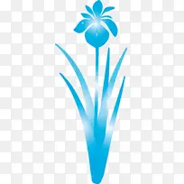 鸢尾花 春花 水绿色-空若网 鸢尾花 春花 水绿色-空若网