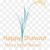 �ı� ���� �ݼ���-������