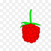 水果 浆果 无籽水果-空若网 水果 浆果 无籽水果-空若网