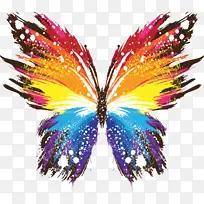 ���� ��ë ���-������