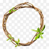 树枝 叶子 植物-空若网 树枝 叶子 植物-空若网