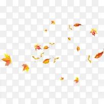 黄色 橙色 叶子-空若网 黄色 橙色 叶子-空若网