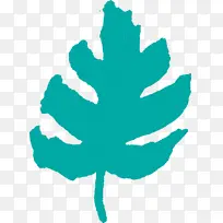 叶子 绿色 树-空若网 叶子 绿色 树-空若网