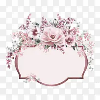 采购产品粉红色 花 植物-空若网 采购产品粉红色 花 植物-空若网