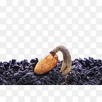 Ë®²Ê ÓÍÆá ʪīˮ-¿ÕÈôÍø Ë®²Ê ÓÍÆá ʪīˮ-¿ÕÈôÍø