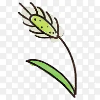 ˮ�ʻ� ˮ�� ����-������