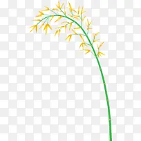 竹子 叶子 植物-空若网 竹子 叶子 植物-空若网