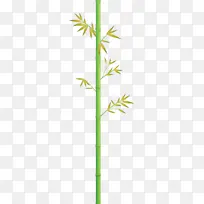 ���� Ҷ�� ֲ�ﾥ-������