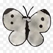 蝴蝶 昆虫 飞蛾和蝴蝶-空若网 蝴蝶 昆虫 飞蛾和蝴蝶-空若网