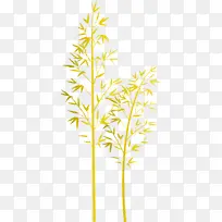 竹子 叶子 植物-空若网 竹子 叶子 植物-空若网