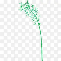 Öñ×Ó Ò¶×Ó ÂÌÉ«-¿ÕÈôÍø Öñ×Ó Ò¶×Ó ÂÌÉ«-¿ÕÈôÍø