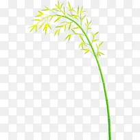 ���� Ҷ�� ֲ��-������