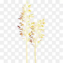 Öñ×Ó Ò¶×Ó Ö²Îï-¿ÕÈôÍø Öñ×Ó Ò¶×Ó Ö²Îï-¿ÕÈôÍø