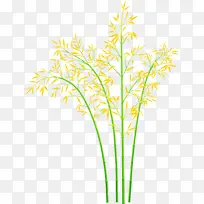 ���� Ҷ�� ֲ��-������