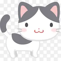 ��ͨ ���� ����-������