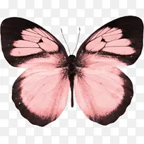 �ɶ�ͺ��� ���� ����-������