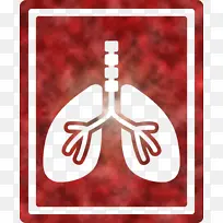 ��״������־�β���־-������