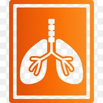 ��״������ �β� ��ɫ-������