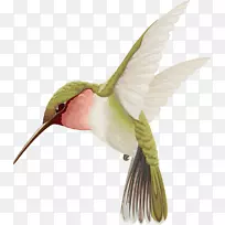 ·äÄñË®²Ê»-·ÉÄñ-¿ÕÈôÍø ·äÄñË®²Ê»-·ÉÄñ-¿ÕÈôÍø