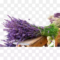 Ӣ��޹�²ݻ���޹�²��ͱ�ֽ-޹�²��޾�����-������