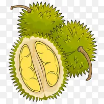 榴莲 水果 植物-空若网 榴莲 水果 植物-空若网