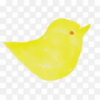 水彩鸟 水彩 油漆-空若网 水彩鸟 水彩 油漆-空若网