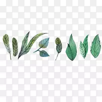 水彩画花卉叶小清新叶-空若网 水彩画花卉叶小清新叶-空若网