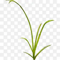 ˮ�� ���� ʪī-������